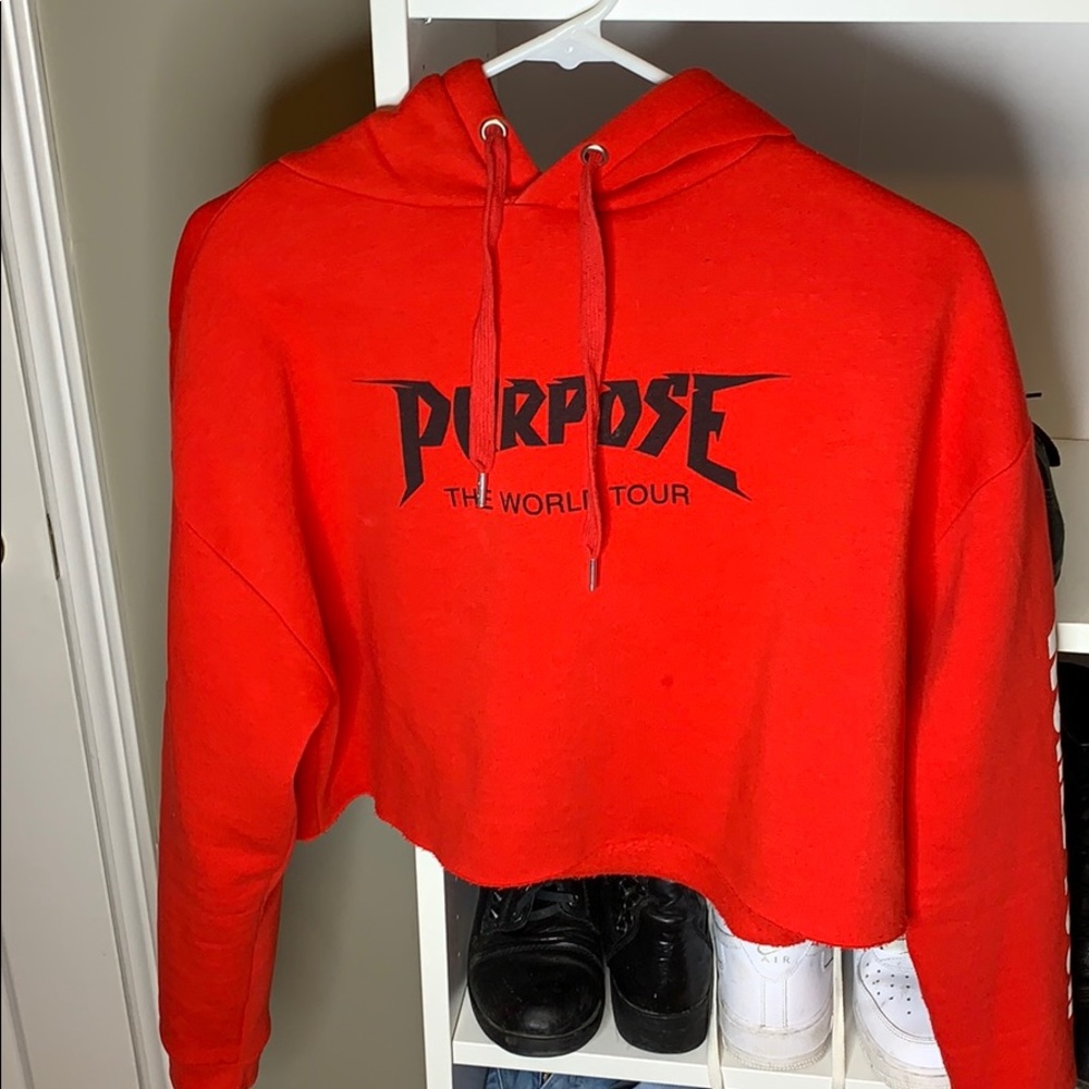 COPY - justin bieber cropped hoodie